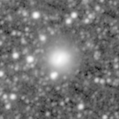 Survey preview for NGC 1341