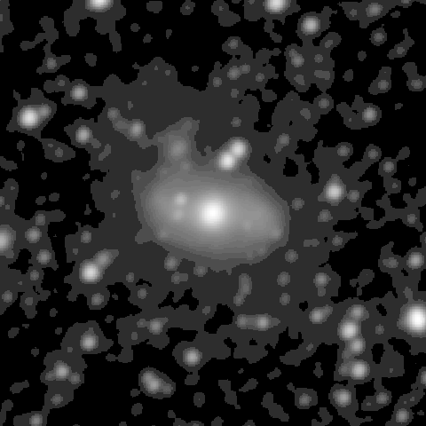 Survey preview for NGC 1343