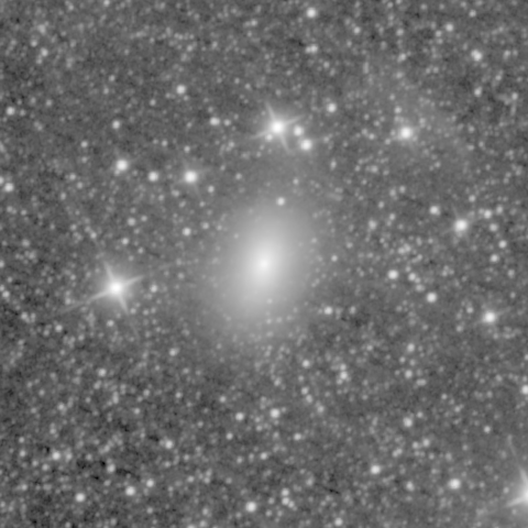 Survey preview for NGC 1344