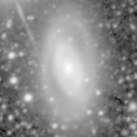Survey preview for NGC 1350