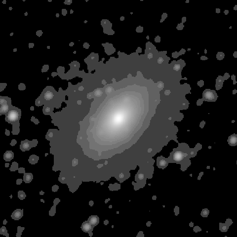 Survey preview for NGC 1351