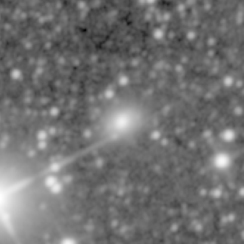 Survey preview for NGC 1352