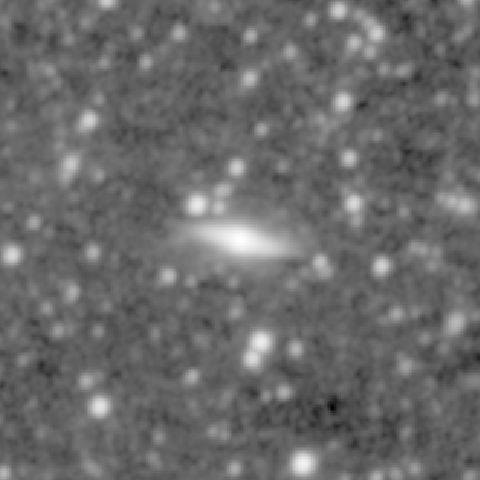 Survey preview for NGC 1355