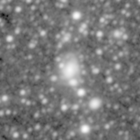 Survey preview for NGC 1356