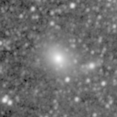 Survey preview for NGC 1361