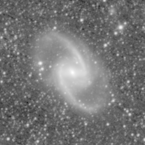 Survey preview for NGC 1365