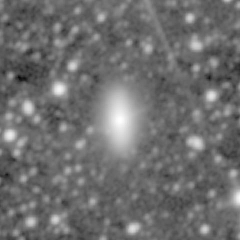 Survey preview for NGC 1366