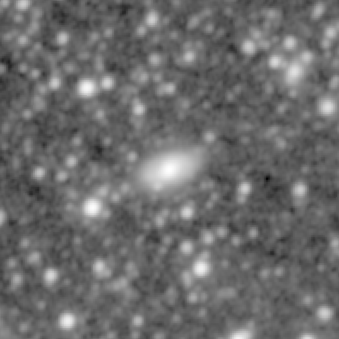 Survey preview for NGC 1368