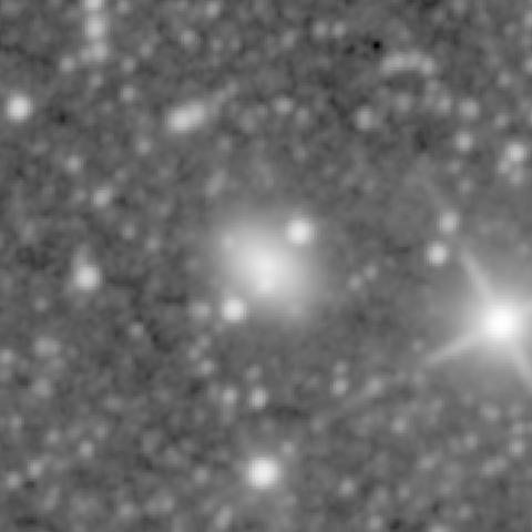 Survey preview for NGC 1370