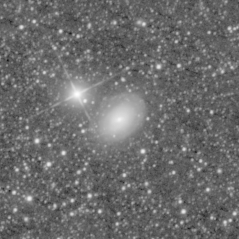 Survey preview for NGC 1371