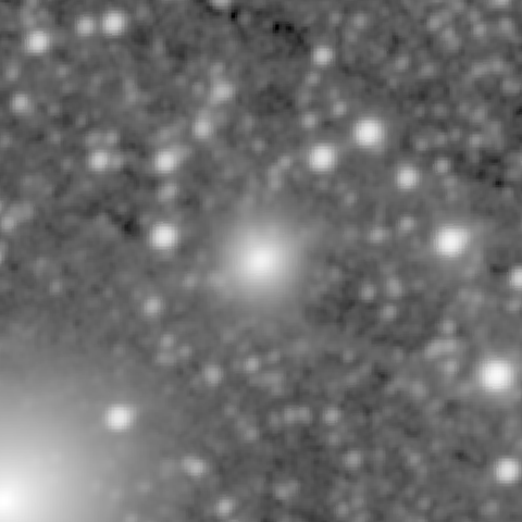 Survey preview for NGC 1373