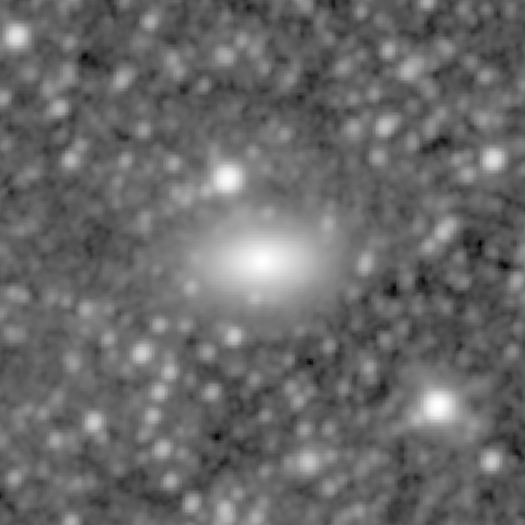 Survey preview for NGC 1377