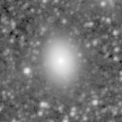 Survey preview for NGC 1411