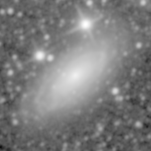 Survey preview for NGC 1425