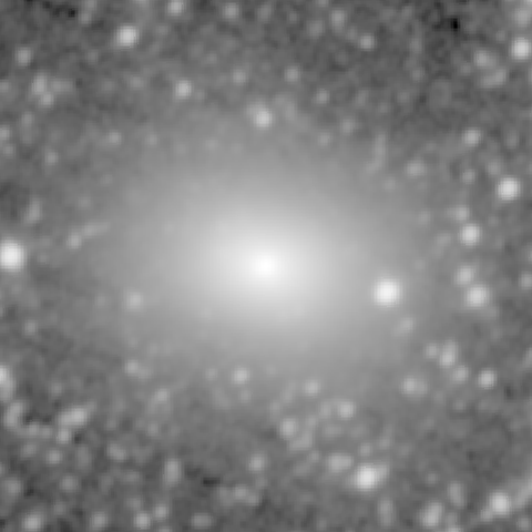 Survey preview for NGC 1427