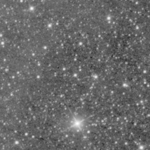 Survey preview for NGC 1430