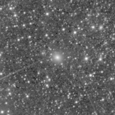 Survey preview for IC 191