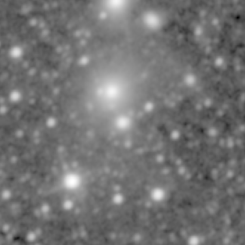 Survey preview for IC 254
