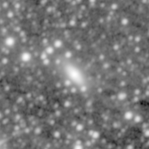 Survey preview for IC 288