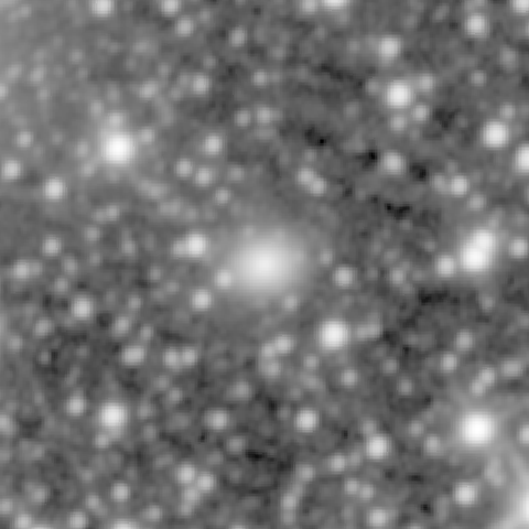 Survey preview for IC 293