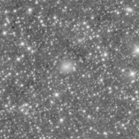 Survey preview for IC 295