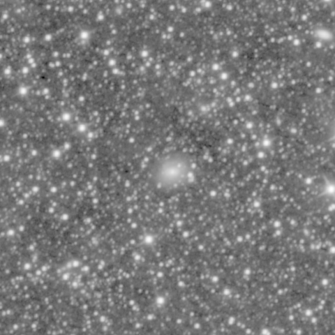 Survey preview for IC 296