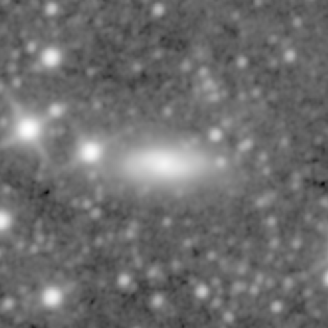 Survey preview for NGC 1441