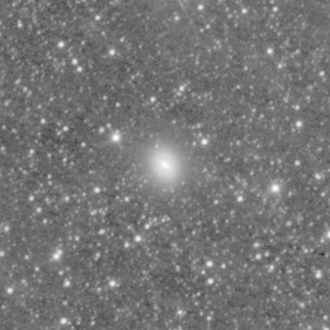 Survey preview for NGC 1442