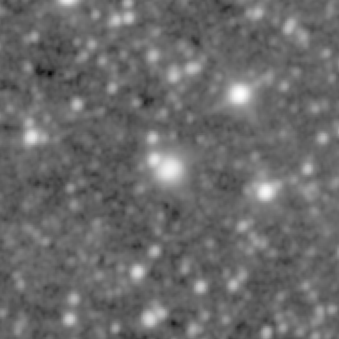 Survey preview for NGC 1445