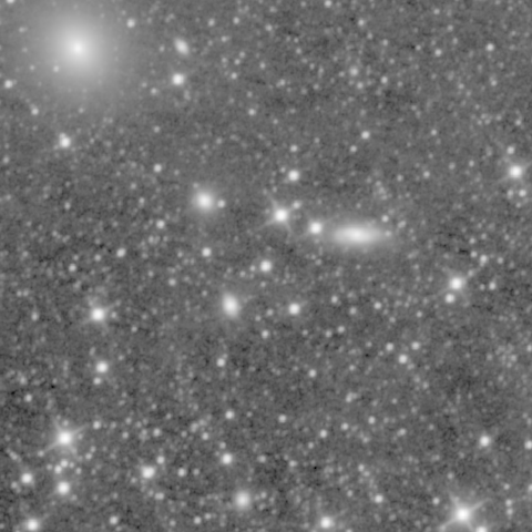 Survey preview for NGC 1446