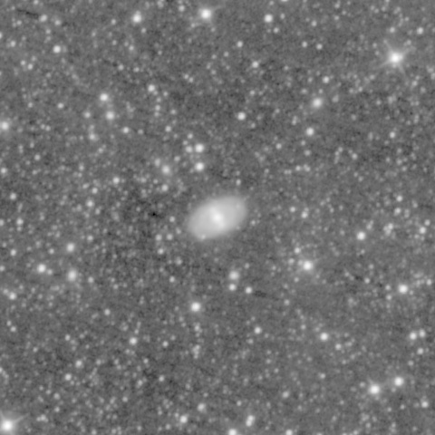 Survey preview for NGC 1455
