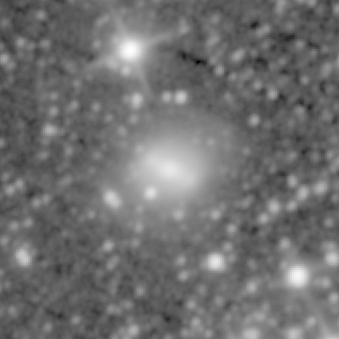Survey preview for NGC 1460
