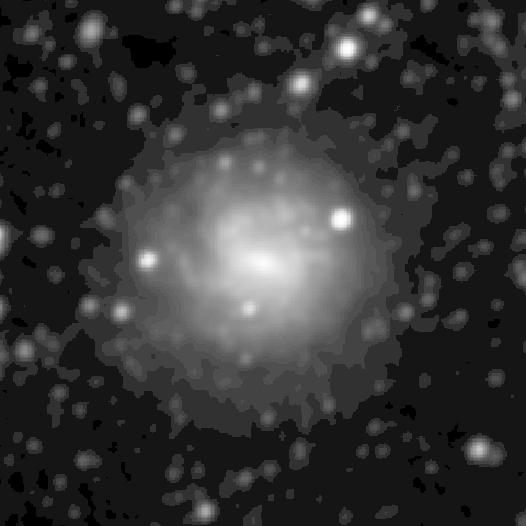 Survey preview for NGC 1493
