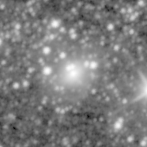 Survey preview for NGC 1544