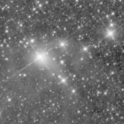 Survey preview for NGC 1554