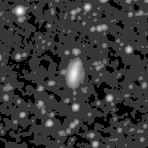 Survey preview for NGC 1556