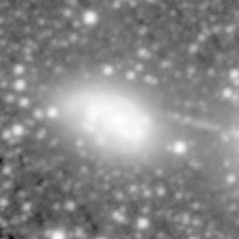 Survey preview for NGC 1559