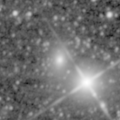 Survey preview for NGC 1561