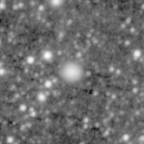 Survey preview for NGC 1565