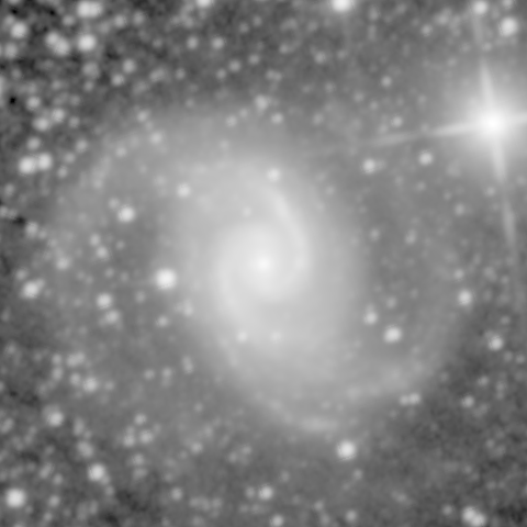 Survey preview for NGC 1566