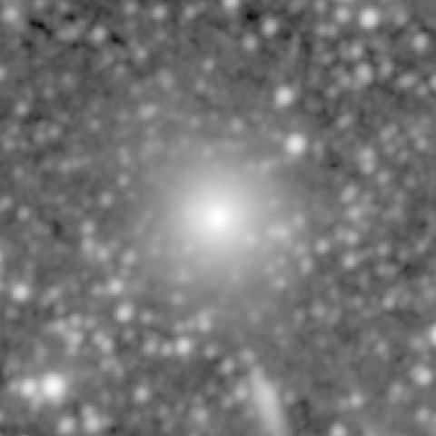 Survey preview for NGC 1567