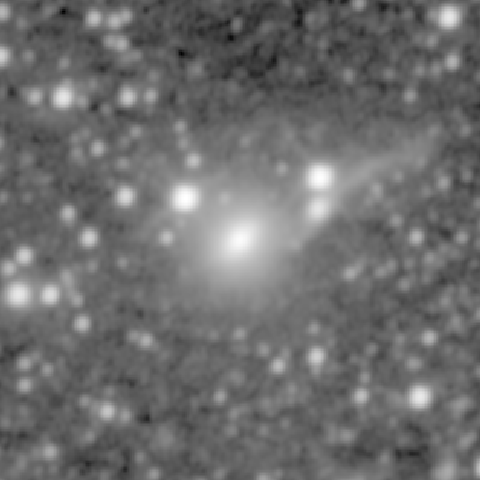 Survey preview for NGC 1568