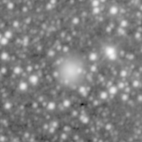 Survey preview for IC 441