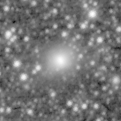 Survey preview for IC 442