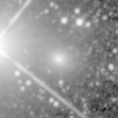 Survey preview for IC 449
