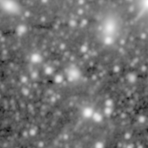 Survey preview for IC 461