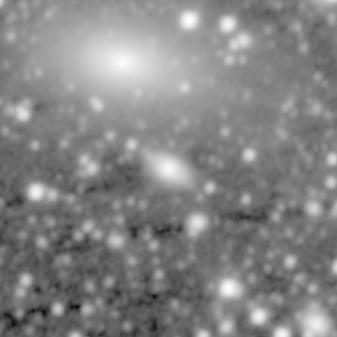 Survey preview for IC 464