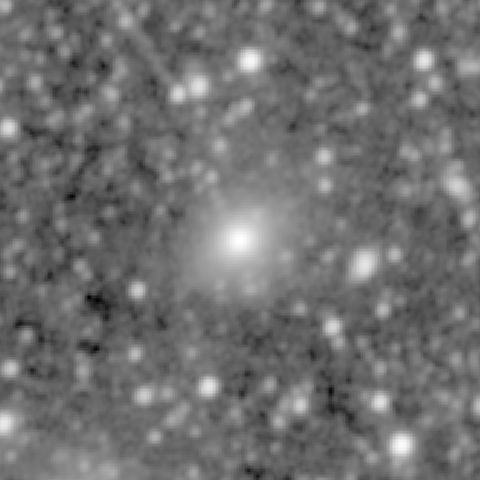 Survey preview for NGC 1584