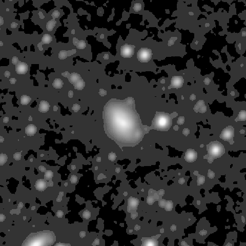 Survey preview for NGC 1591