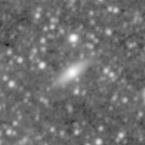 Survey preview for NGC 1593